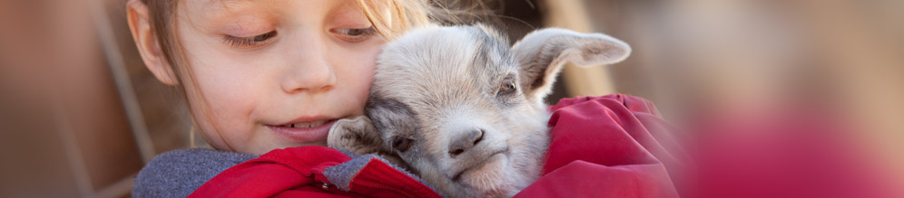 Aktivpark Streichelgehege